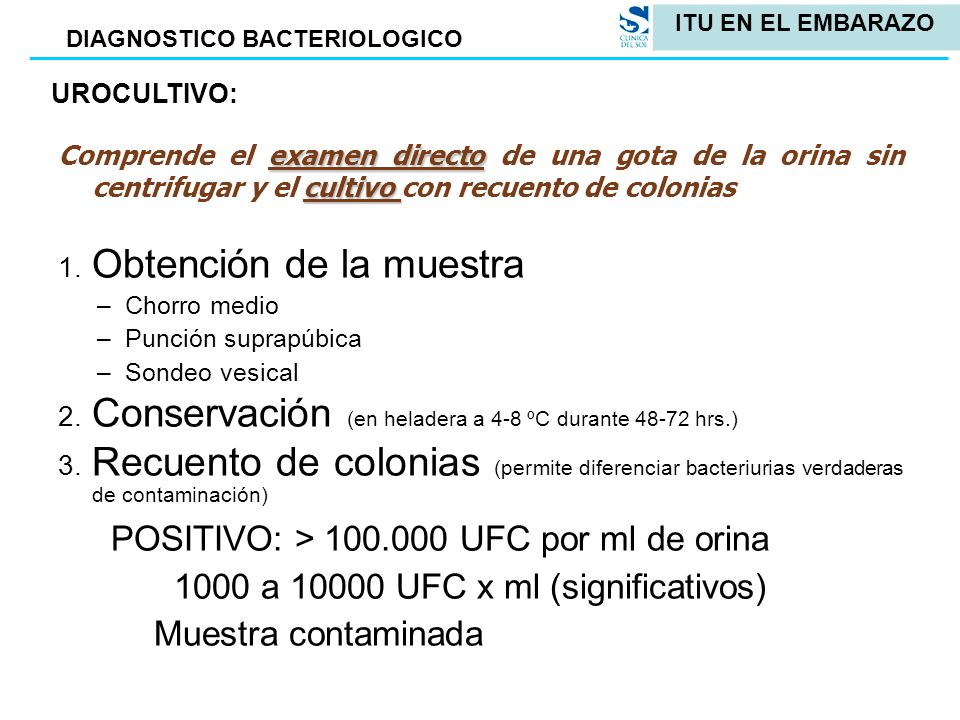 INFECCION URINARIA Y EMBARAZO ppt descargar